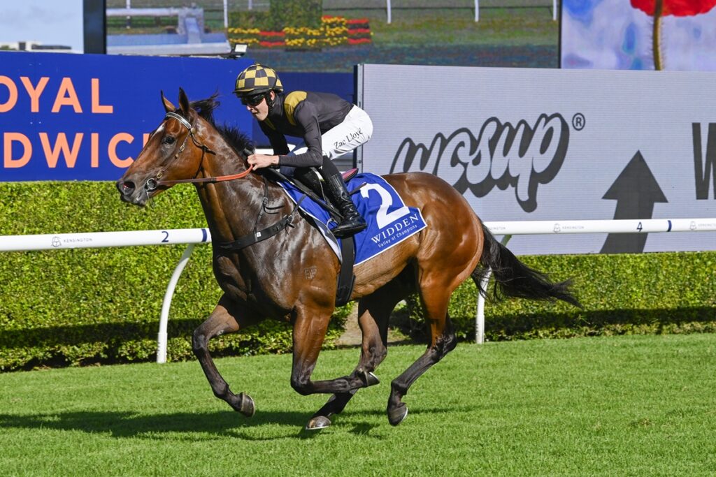 2099550.jpg | Just Horse Racing