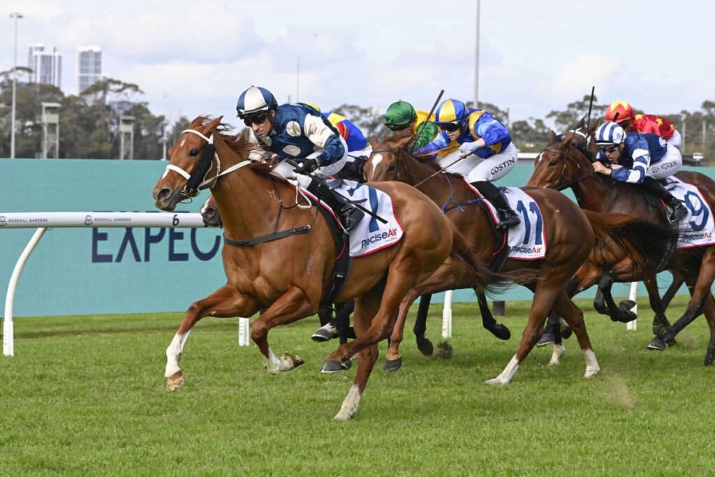2132065.jpg | Just Horse Racing