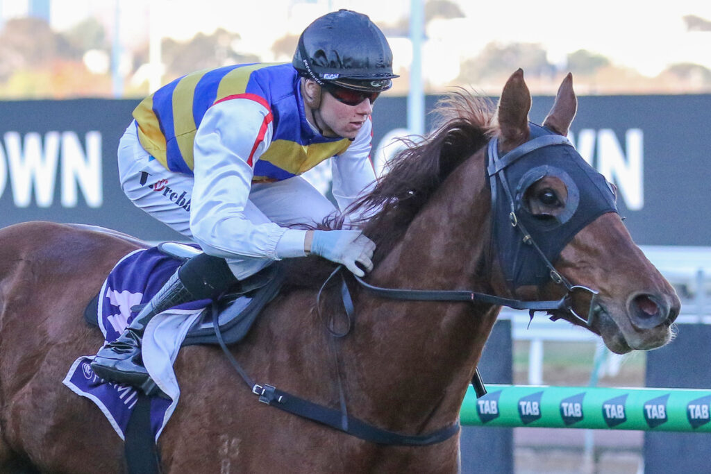 Jimmy The Bear_21-06-2025_WIN_Flemington_8__1066 | Just Horse Racing