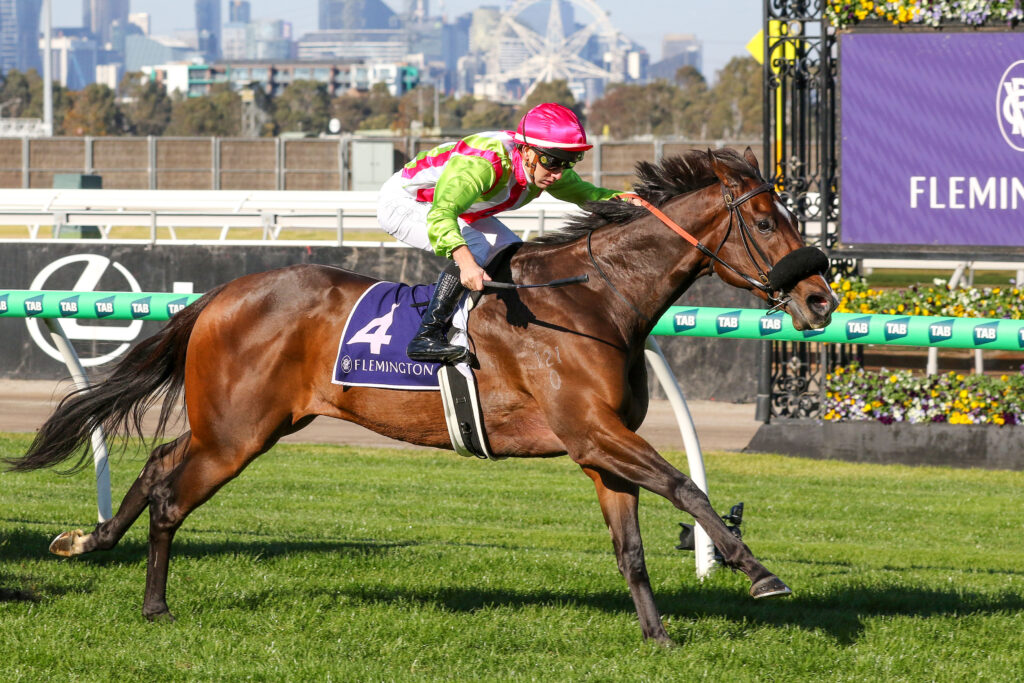 Marble Nine_21-06-2025_WIN_Flemington_3__314 | Just Horse Racing