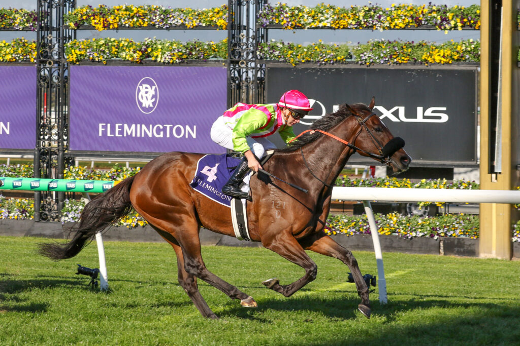 Marble Nine_21-06-2025_WIN_Flemington_3__317 | Just Horse Racing