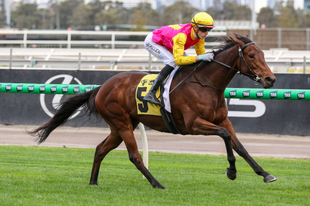 Oh Too Good_07-06-2025_WIN_Flemington_5__593 | Just Horse Racing