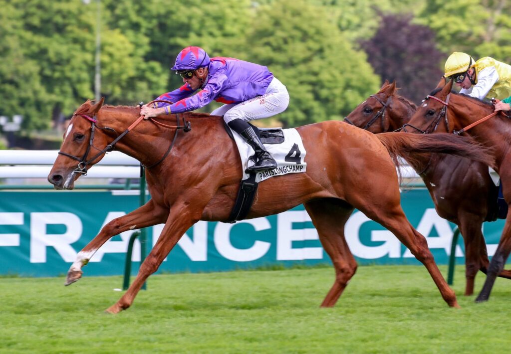 Rafale Design | Just Horse Racing