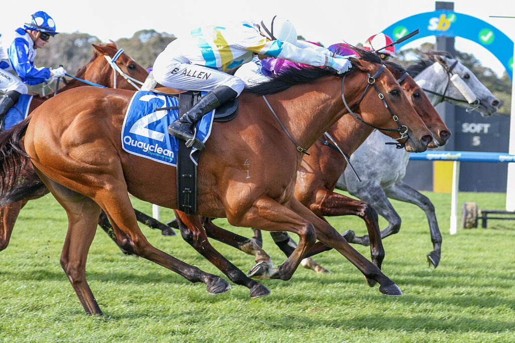 Santa Ana Moon_14-06-2025_WIN_Sandown_3__327 | Just Horse Racing