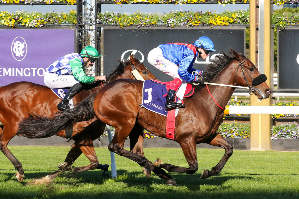Taken_21-06-2025_WIN_Flemington_4__477 | Just Horse Racing