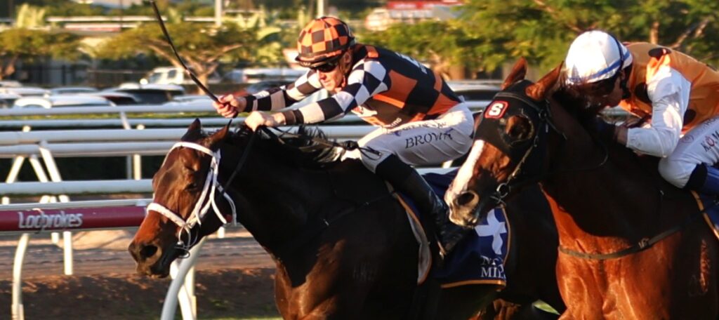 Silk Stocking Field & Odds – 2026 | Just Horse Racing