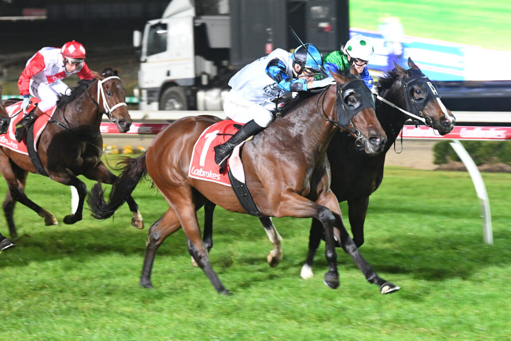 /r5/ | Just Horse Racing