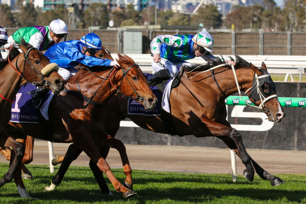 0ARCORA9A0223 | Just Horse Racing