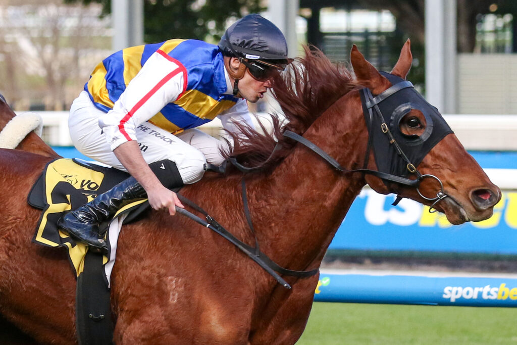 0JIMMY THE BEAR9A0467 | Just Horse Racing