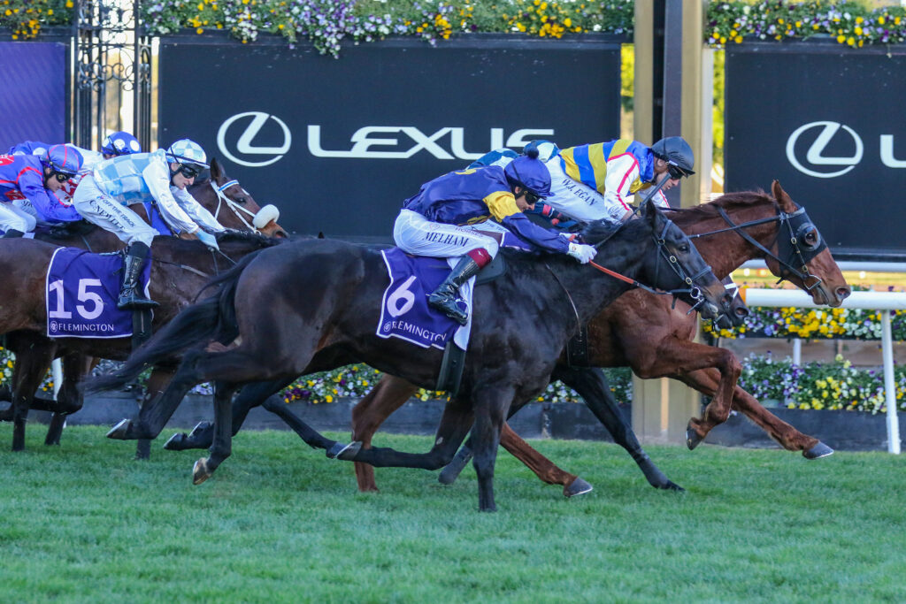 0JIMMY THE BEAR9A1067 | Just Horse Racing
