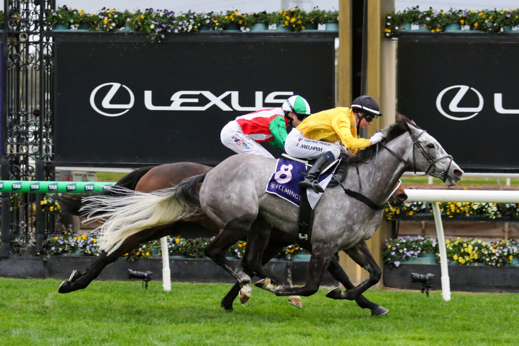0MORMONA9A1036 | Just Horse Racing