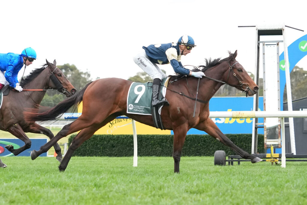/r2/ | Just Horse Racing
