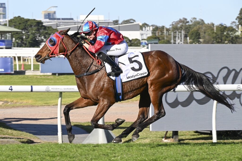 2142192.jpg | Just Horse Racing