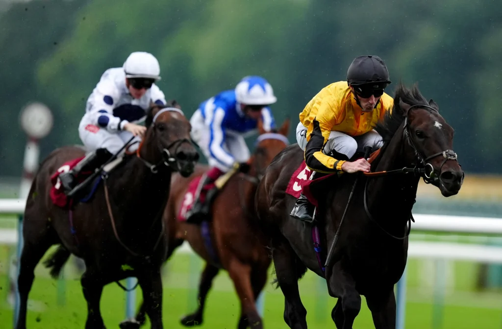 Luther | Just Horse Racing