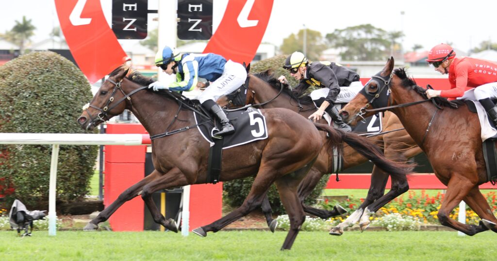 Space Age | Just Horse Racing