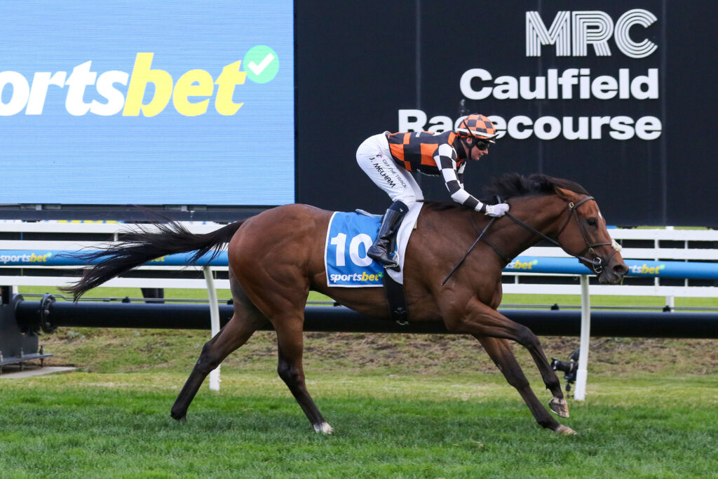 Zou Sensation_12-07-2025_WIN_Caulfield_7__879 | Just Horse Racing