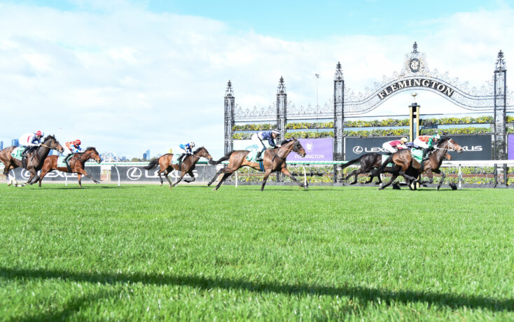 Flemington Races