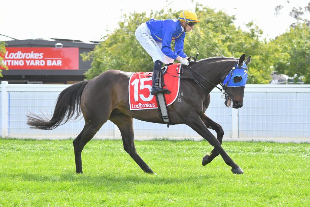 /r7/ | Just Horse Racing