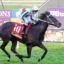 repossession_05-07-2025_win_pinjarra_7__03_1000x583px | Just Horse Racing