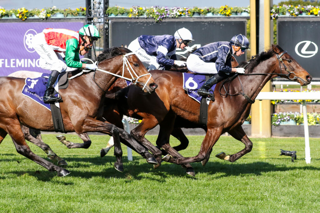 0BOLD SOUL9A0341 | Just Horse Racing