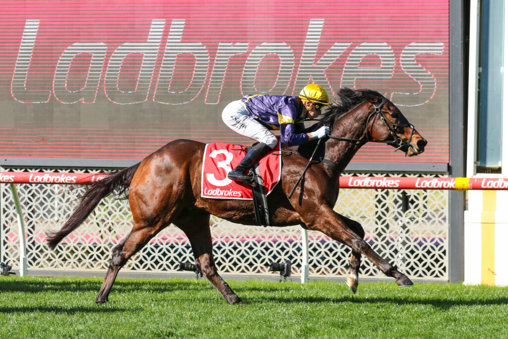 0Oak Hill9A0691 | Just Horse Racing