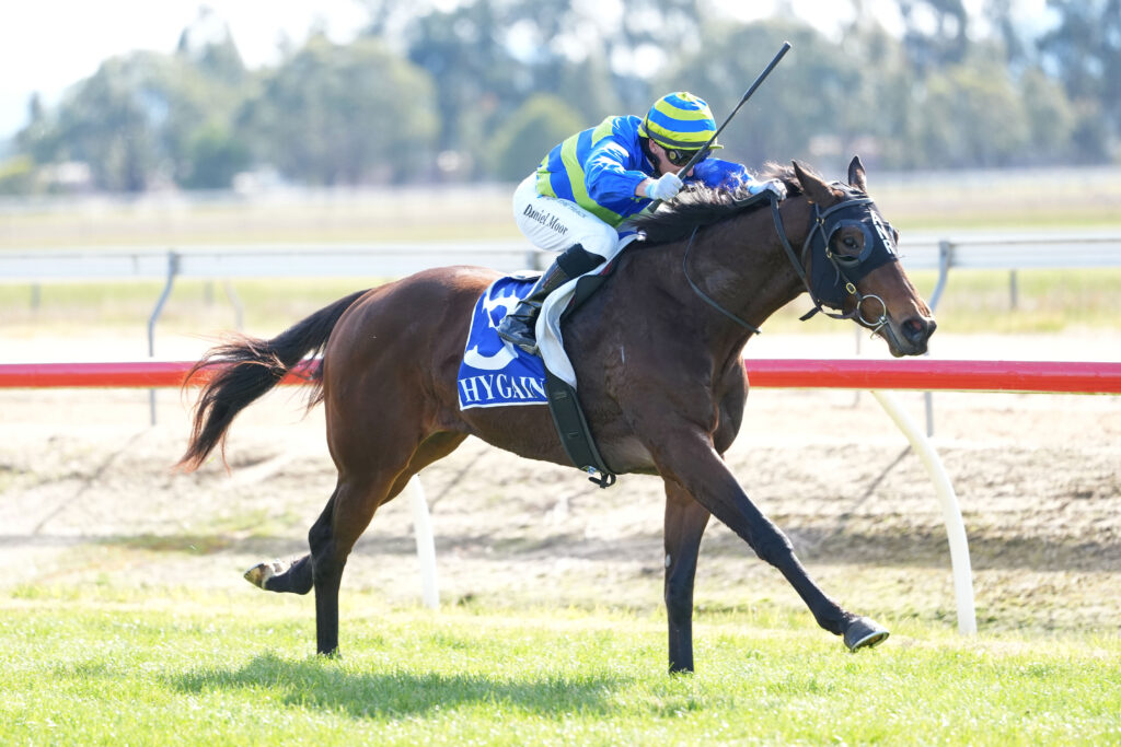 /r1/ | Just Horse Racing
