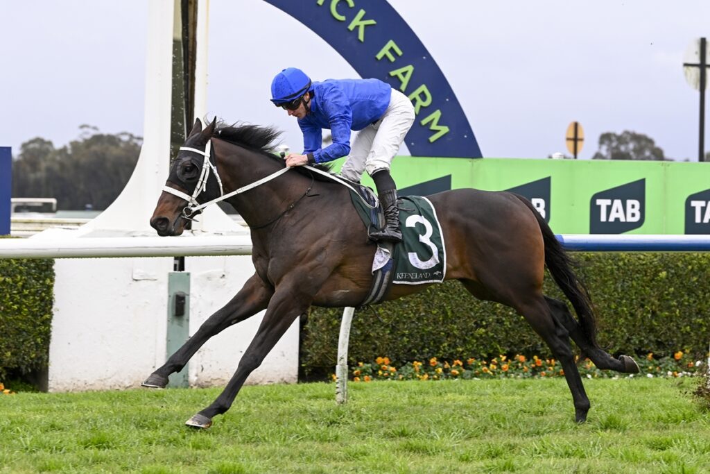 Burma Star | Just Horse Racing
