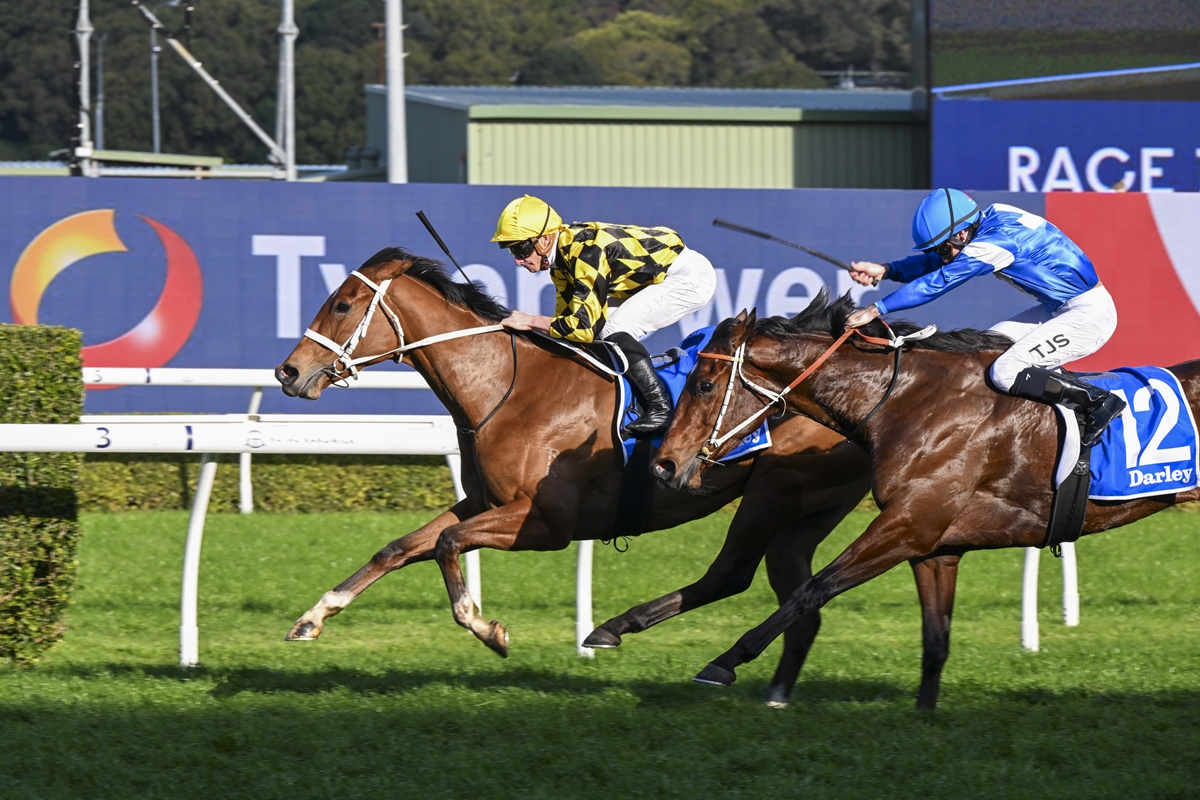 Autumn Glow extends unbeaten record at Randwick | Just Horse Racing