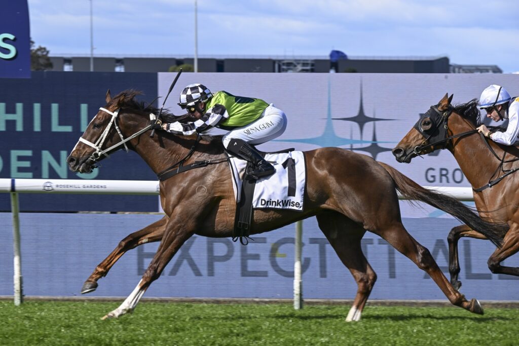 2159849.jpg | Just Horse Racing