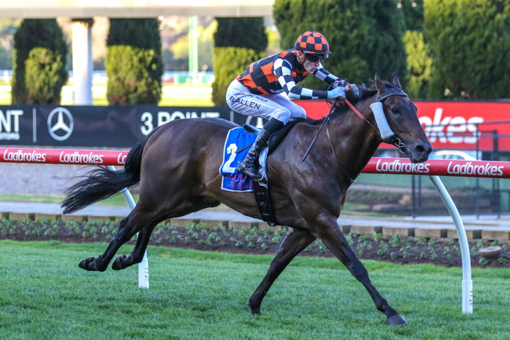 BARAQIELV9A11BARAQIEL5 | Just Horse Racing