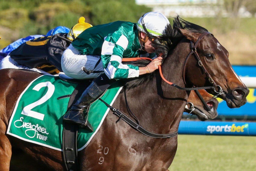 MAGIC TIMEV9A1MAGIC TIME45 | Just Horse Racing