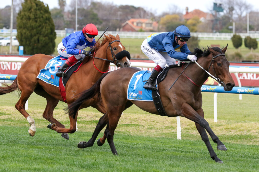 ON DISPLAYV9AON DISPLAY298 | Just Horse Racing