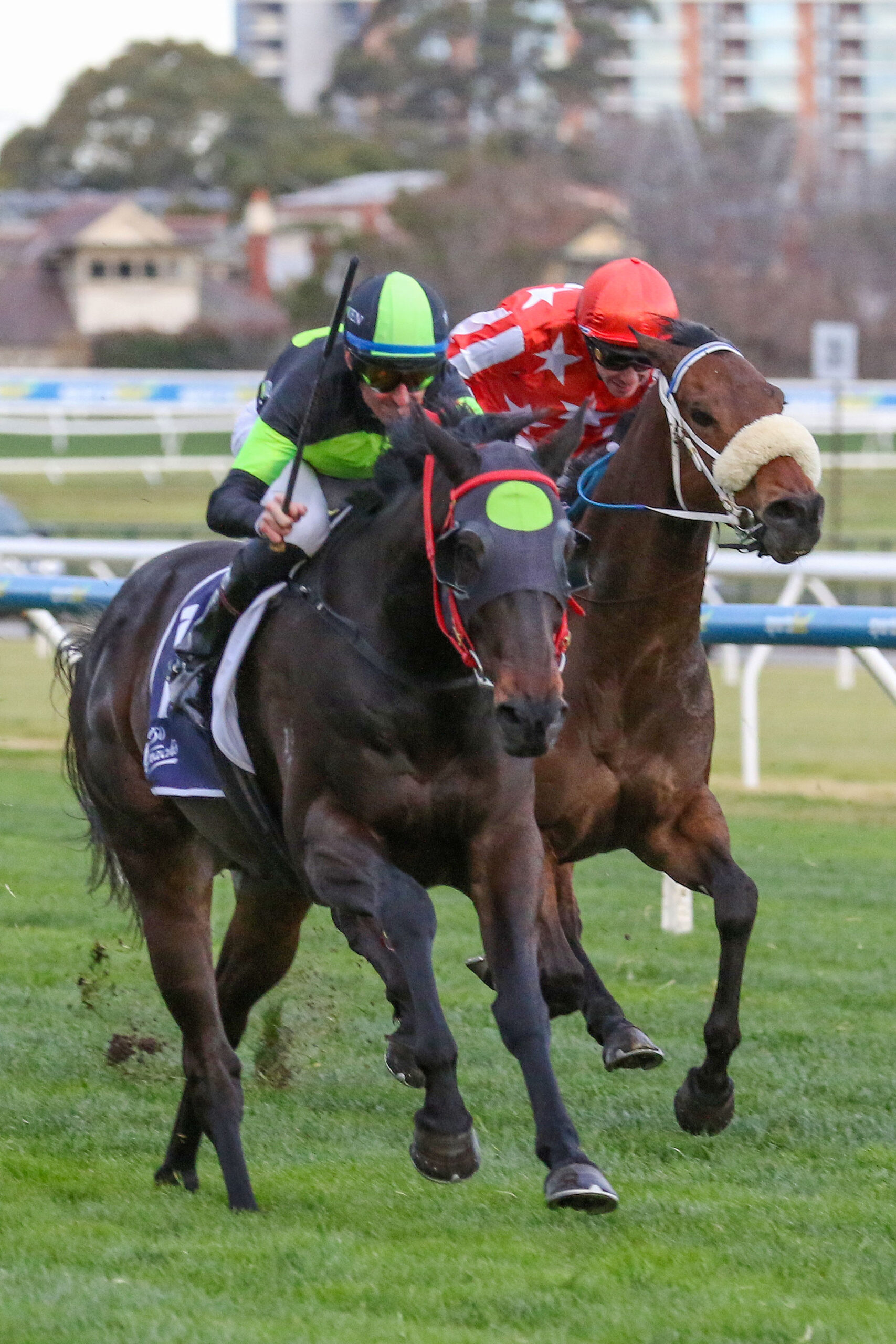 Hours Rching Private Eye heads odds in Harry White Stakes betting | Just Horse Racing