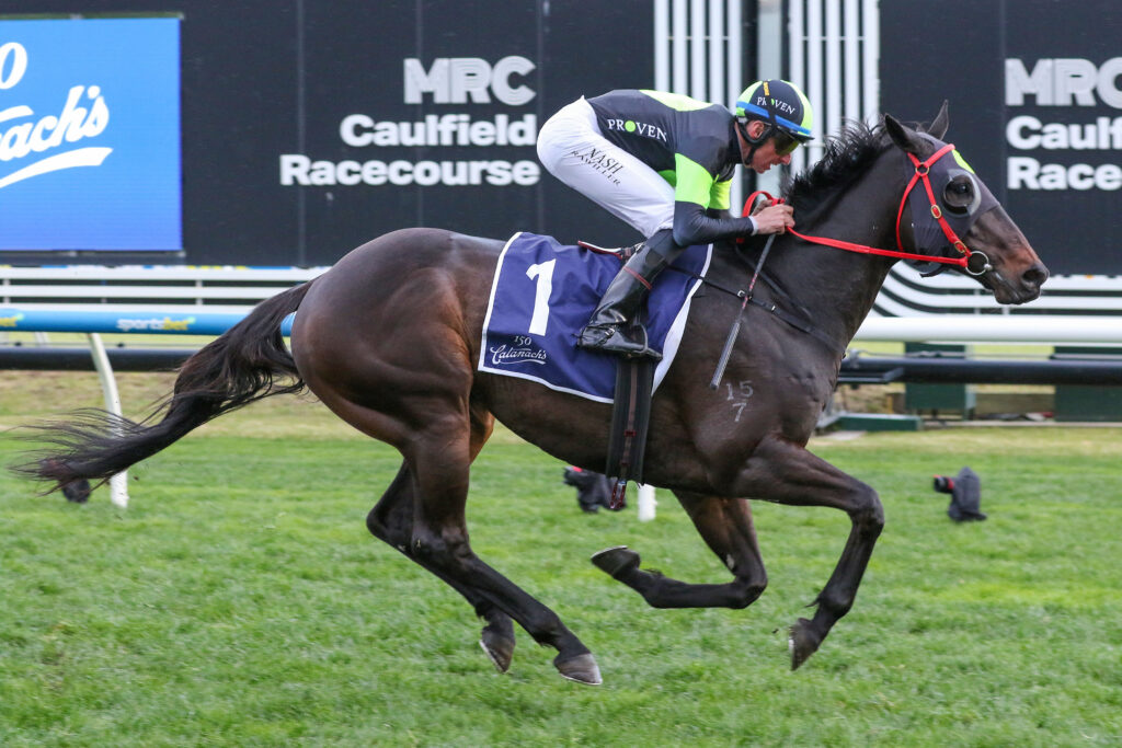 Private Eye,PB Lawrence Stakes,Group 2_16-08-2025_WIN_Caulfield_8__1038 | Just Horse Racing