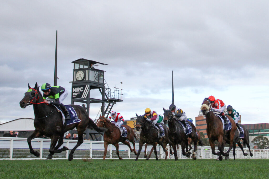Private Eye,PB Lawrence Stakes,Group 2_16-08-2025_WIN_Caulfield_8__514a | Just Horse Racing