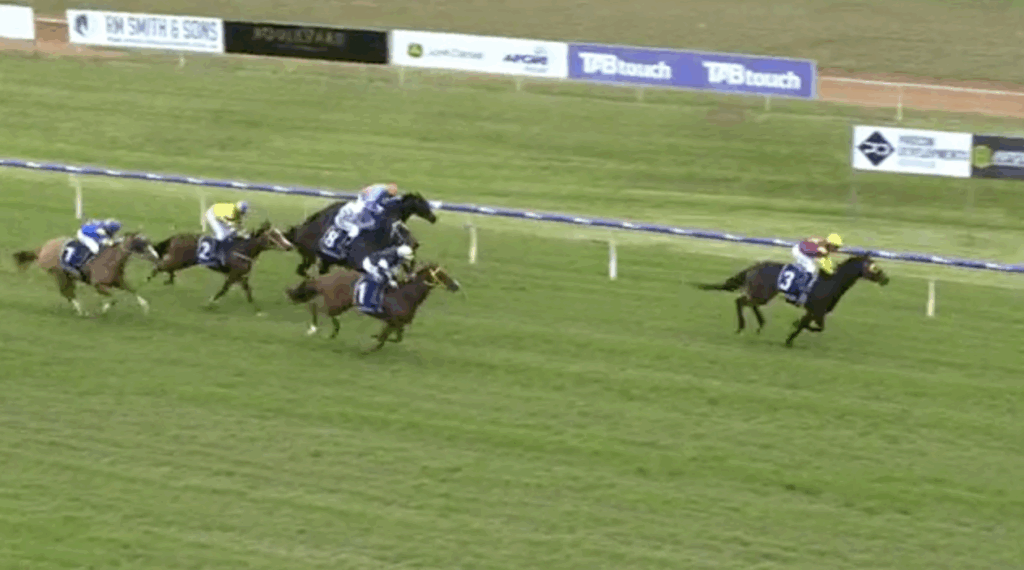 Wrong horse wins race at Northam, correct weight declared | Just Horse Racing