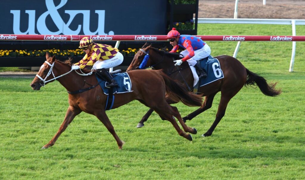alpha sofie 12 | Just Horse Racing