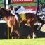 magnatear 3 | Just Horse Racing