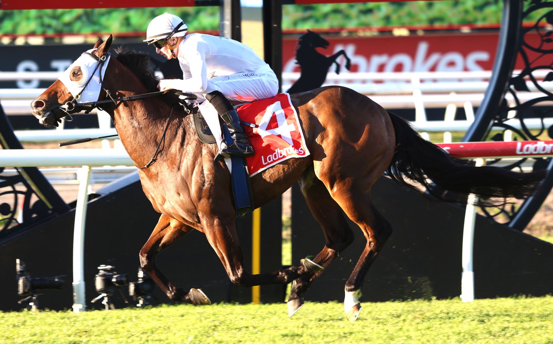 Ouroboros a clear favourite in Rockhampton Newmarket betting