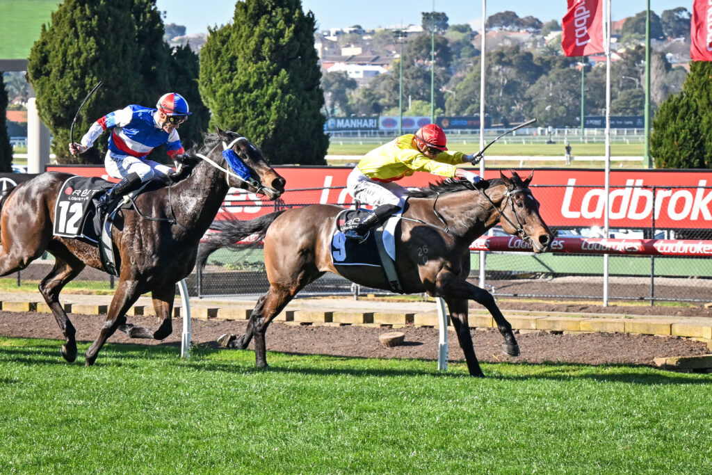 /r5/ | Just Horse Racing