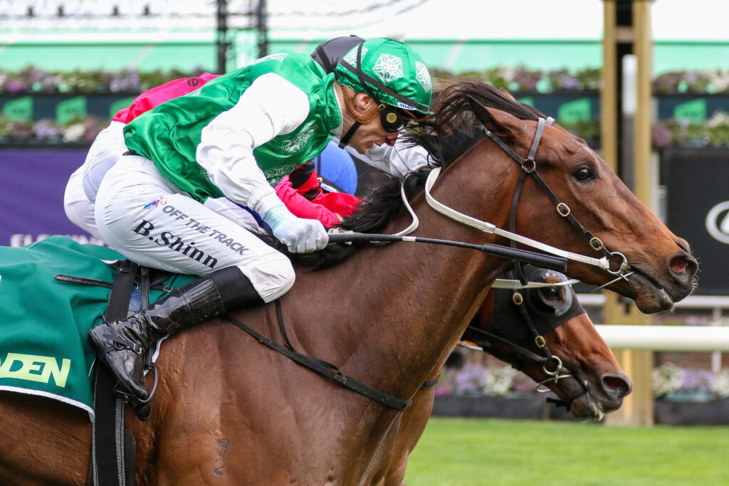 0AUTUMN MYSTERY9A0990 | Just Horse Racing