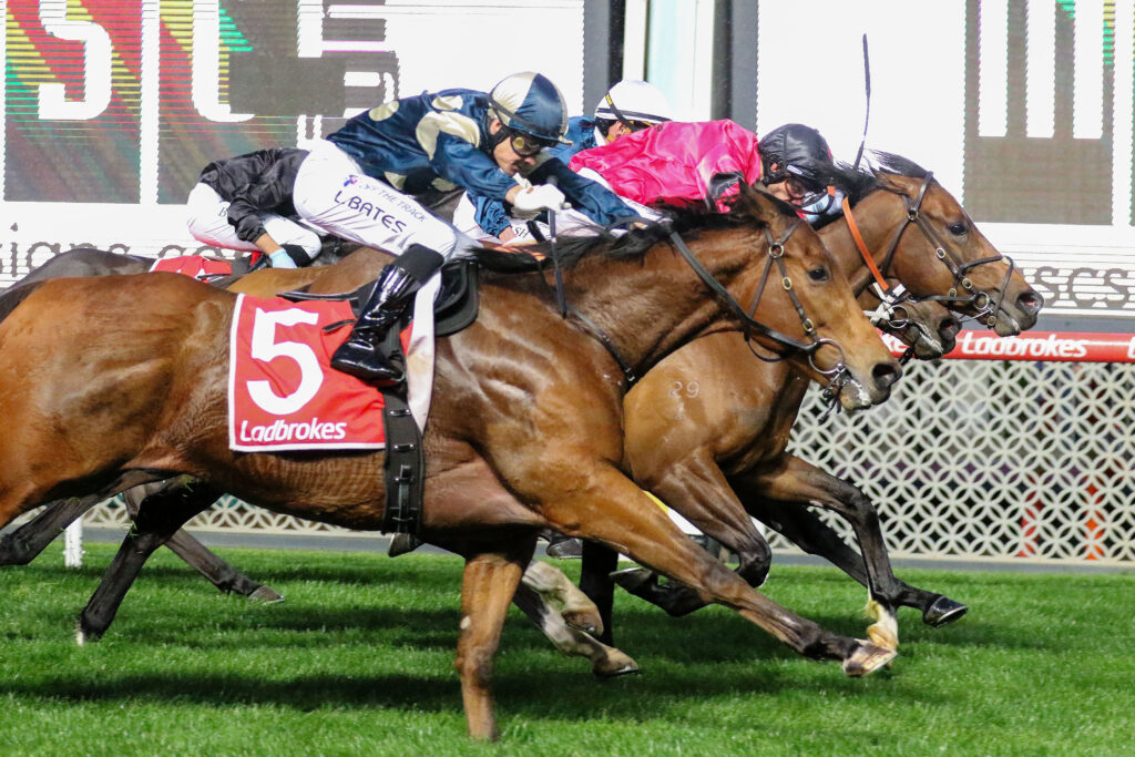 0CHARCOALS9A0046 | Just Horse Racing