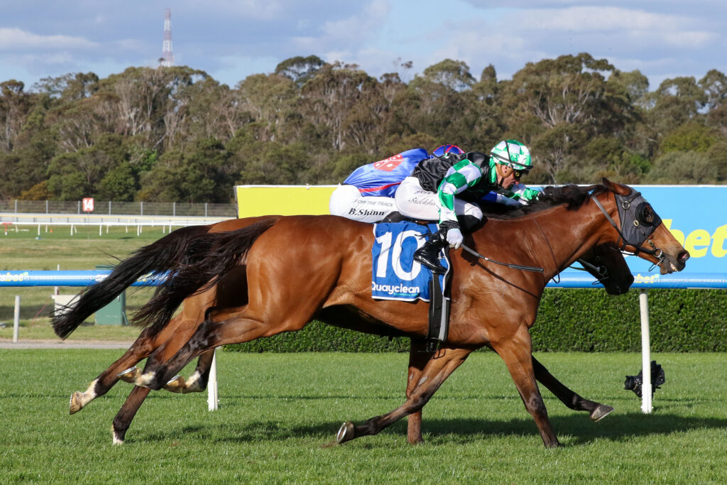 0CHARTERHOUSE9A1164 | Just Horse Racing