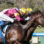 0EVAPORATE9A0760 | Just Horse Racing