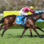 0EVAPORATE9A0762 | Just Horse Racing