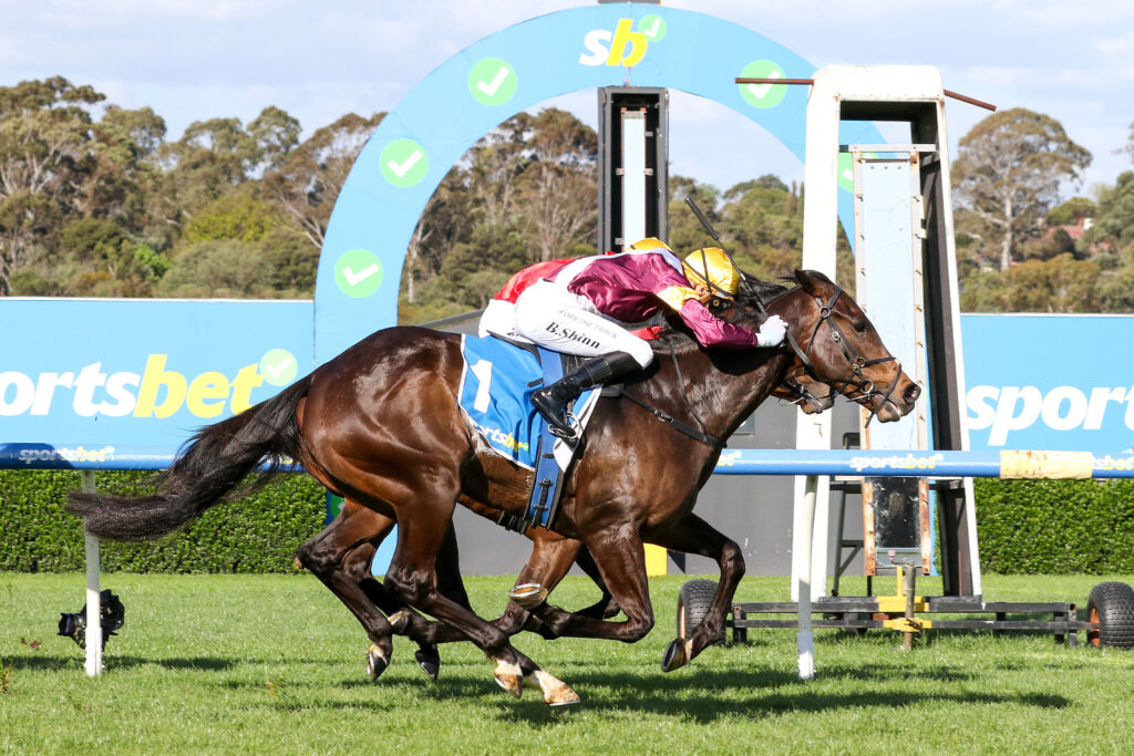 0EVAPORATE9A0764 | Just Horse Racing