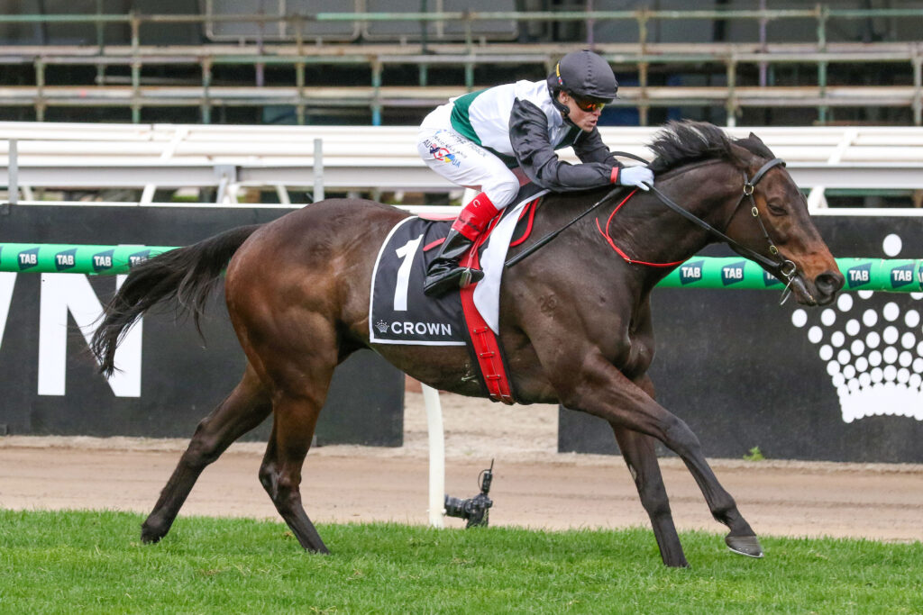 0MR BRIGHTSIDE9A1243 | Just Horse Racing