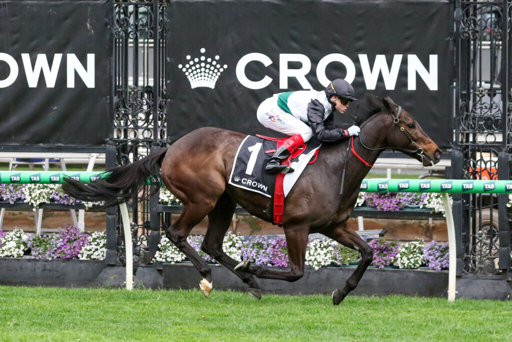 0MR BRIGHTSIDE9A1250 | Just Horse Racing