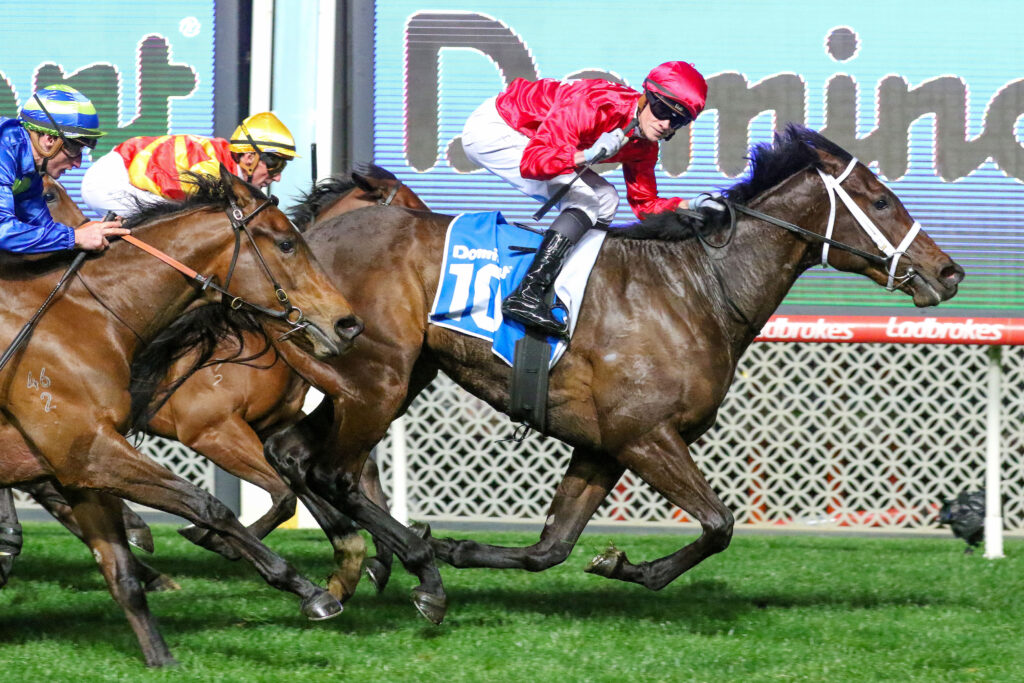 0SNOW MERCY9A0547 | Just Horse Racing