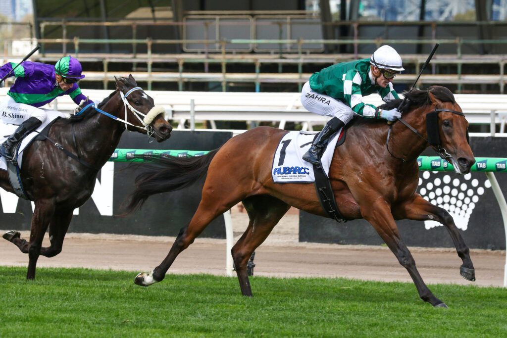 0VINROCK9A0389 | Just Horse Racing
